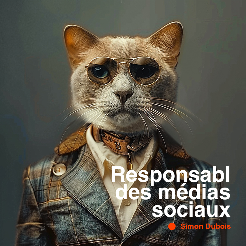 Responsable_des_médias_sociaux